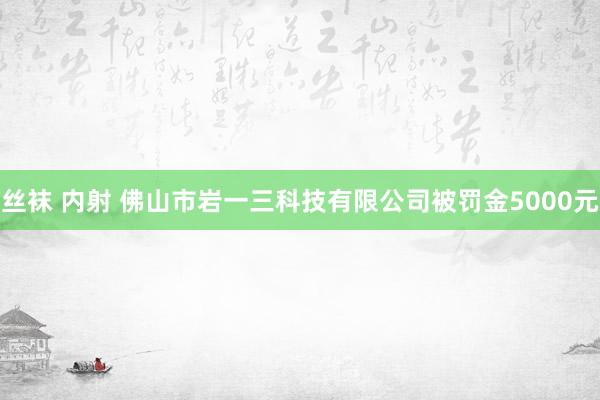 丝袜 内射 佛山市岩一三科技有限公司被罚金5000元