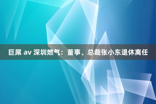 巨屌 av 深圳燃气：董事、总裁张小东退休离任