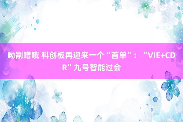 呦剐蹭哦 科创板再迎来一个“首单”：“VIE+CDR”九号智能过会