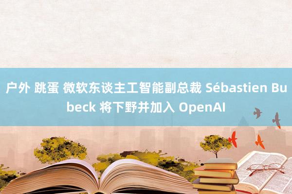 户外 跳蛋 微软东谈主工智能副总裁 Sébastien Bubeck 将下野并加入 OpenAI