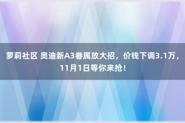 萝莉社区 奥迪新A3眷属放大招，价钱下调3.1万，11月1日等你来抢！