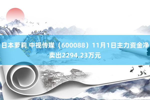 日本萝莉 中视传媒（600088）11月1日主力资金净卖出2294.23万元