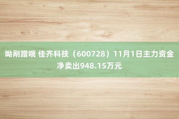 呦剐蹭哦 佳齐科技（600728）11月1日主力资金净卖出948.15万元