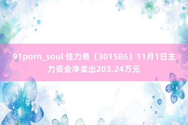 91porn_soul 佳力奇（301586）11月1日主力资金净卖出203.24万元