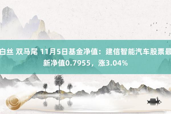 白丝 双马尾 11月5日基金净值：建信智能汽车股票最新净值0.7955，涨3.04%