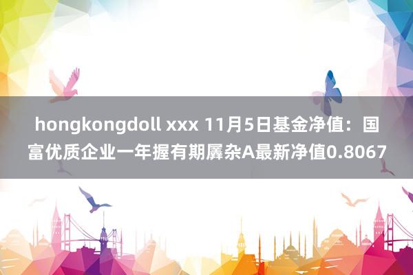 hongkongdoll xxx 11月5日基金净值：国富优质企业一年握有期羼杂A最新净值0.8067