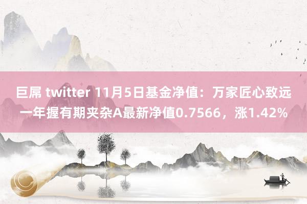 巨屌 twitter 11月5日基金净值：万家匠心致远一年握有期夹杂A最新净值0.7566，涨1.42%