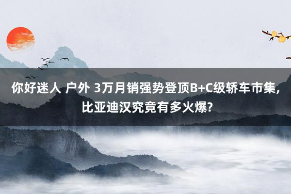 你好迷人 户外 3万月销强势登顶B+C级轿车市集， 比亚迪汉究竟有多火爆?