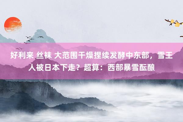 好利来 丝袜 大范围干燥捏续发酵中东部，雪王人被日本下走？超算：西部暴雪酝酿