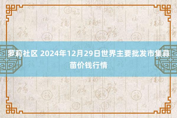 萝莉社区 2024年12月29日世界主要批发市集蒜苗价钱行情