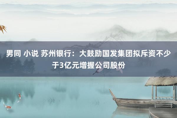 男同 小说 苏州银行：大鼓励国发集团拟斥资不少于3亿元增握公司股份