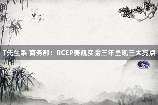 T先生系 商务部：RCEP奏凯实验三年呈现三大亮点