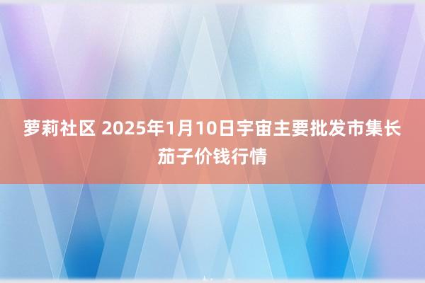 萝莉社区 2025年1月10日宇宙主要批发市集长茄子价钱行情