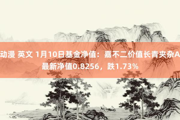 动漫 英文 1月10日基金净值：嘉不二价值长青夹杂A最新净值0.8256，跌1.73%