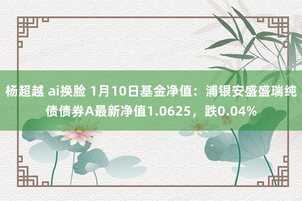 杨超越 ai换脸 1月10日基金净值：浦银安盛盛瑞纯债债券A最新净值1.0625，跌0.04%