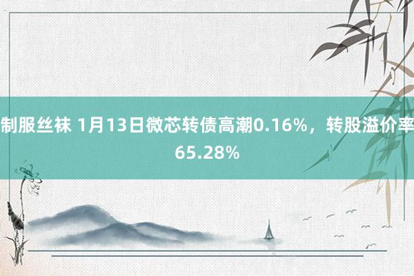 制服丝袜 1月13日微芯转债高潮0.16%，转股溢价率65.28%