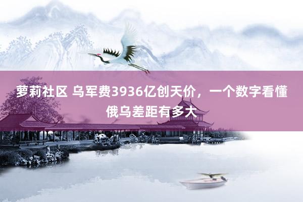 萝莉社区 乌军费3936亿创天价，一个数字看懂俄乌差距有多大