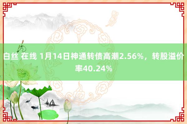 白丝 在线 1月14日神通转债高潮2.56%，转股溢价率40.24%