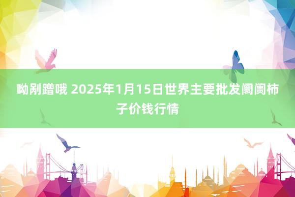 呦剐蹭哦 2025年1月15日世界主要批发阛阓柿子价钱行情