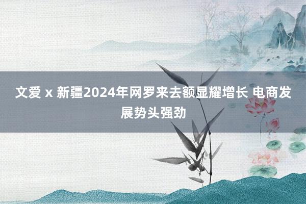 文爱 x 新疆2024年网罗来去额显耀增长 电商发展势头强劲