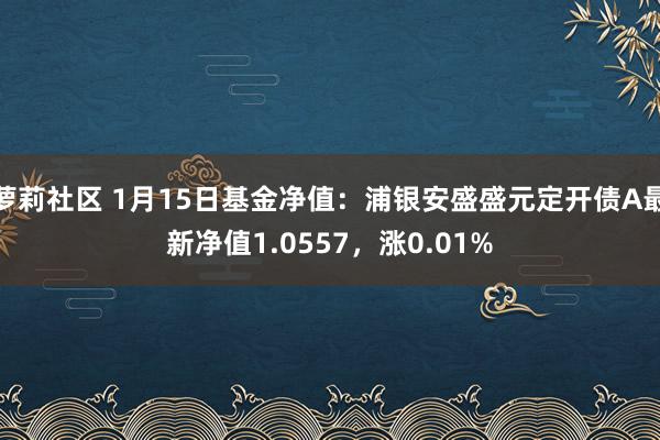 萝莉社区 1月15日基金净值：浦银安盛盛元定开债A最新净值1