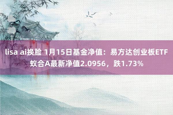 lisa ai换脸 1月15日基金净值：易方达创业板ETF蚁