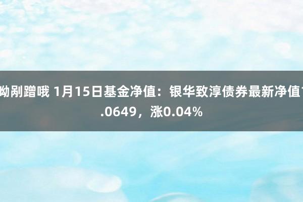 呦剐蹭哦 1月15日基金净值：银华致淳债券最新净值1.064